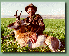 buck antelope photo