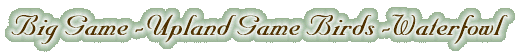 Big Game, Upland Game Birds, Waterfowl